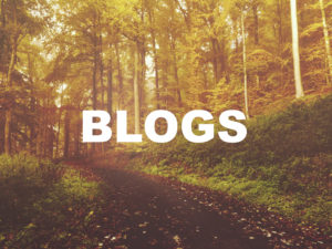 BLOGS