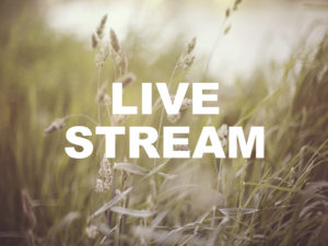 LIVE STREAM