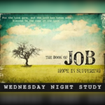 Book of Job (Wednesday)